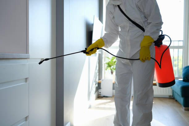 Best Professional Mold Removal  in Valatie, NY