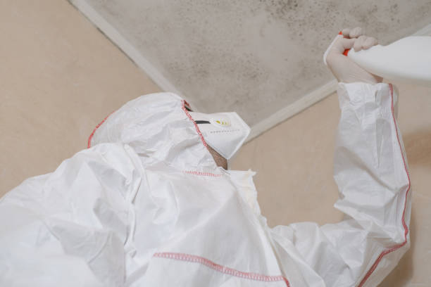 Best Professional Mold Removal  in Valatie, NY